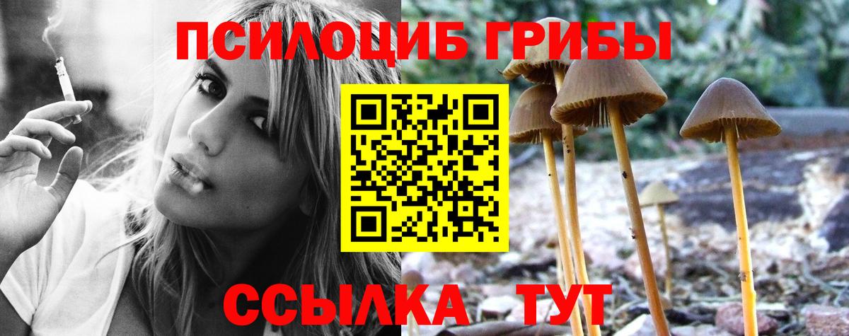 Коломна  Галлюциногенные грибы Cubensis  Вход с VPN  Псилоцибиновые грибы ЛСД 
