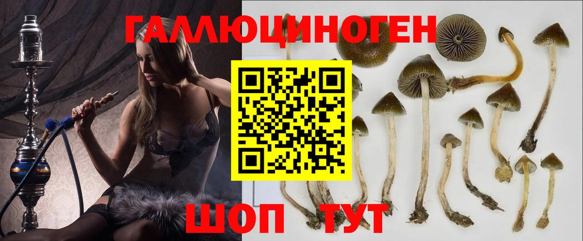 Псилоцибиновые грибы ЛСД Коломна